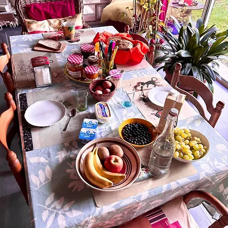 2 Pres De L'aeroport Et Du Meett Bed & Breakfast Blagnac