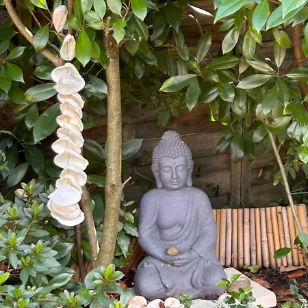 2 Pres De L'aeroport Et Du Meett Bed & Breakfast Blagnac