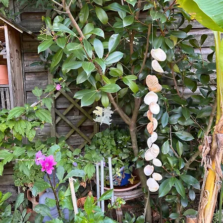 Bed and breakfast 2 Près De L'aéroport Et Du Meett Blagnac