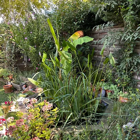 2 Près De L'aéroport Et Du Meett 2* Blagnac
