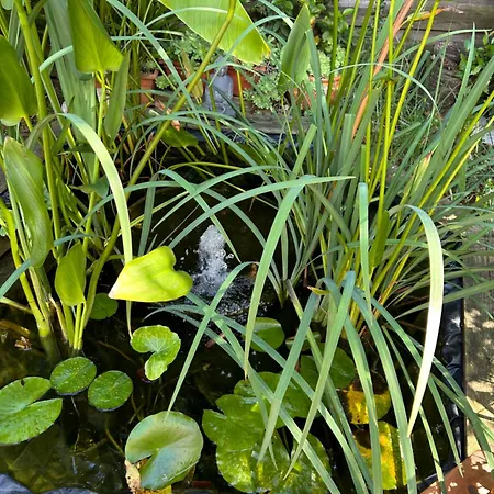 Bed and breakfast 2 Près De L'aéroport Et Du Meett