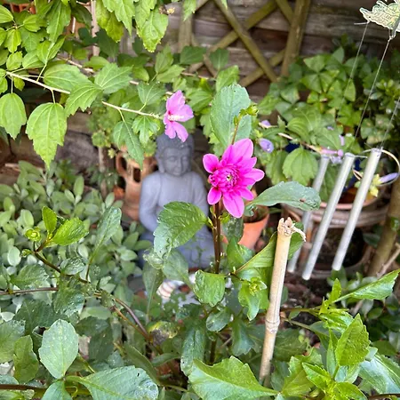 Bed and breakfast 2 Près De L'aéroport Et Du Meett 2*