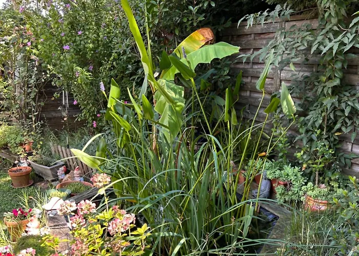 2 Pres De L'aeroport Et Du Meett 2* ブラニャック